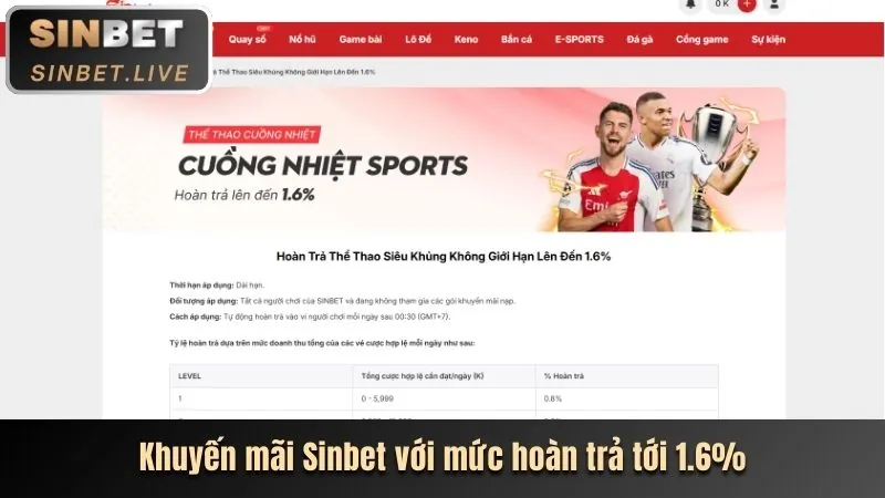 Hoàn trả hàng ngày, hàng tuần Sinbet
